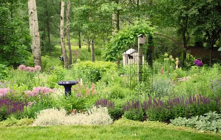 How to Create a Wildlife-Friendly Garden