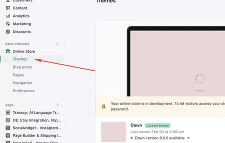 How to Use Shopify Themes