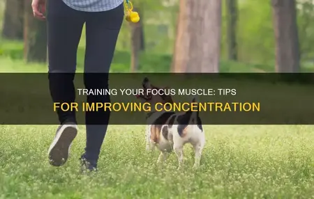 How to Train Your Brain to Focus