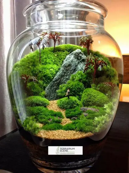 How to Make a Terrarium
