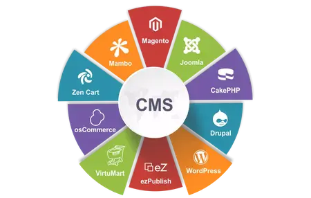 How to Use a Content Management System (CMS)
