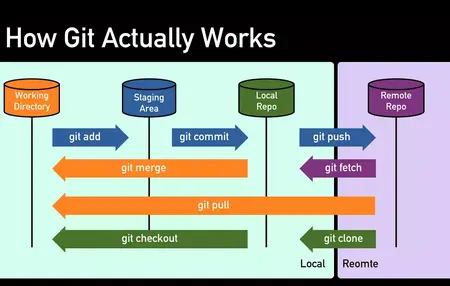 How to Use Git and GitHub