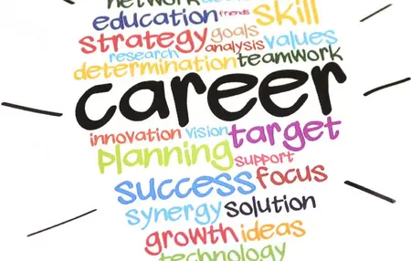 How to Build a Successful Career in [Specific Field]