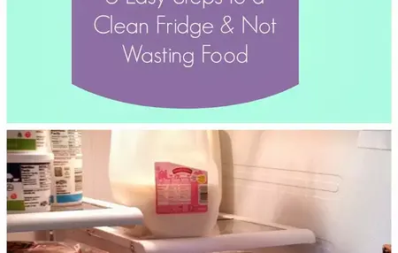 How to Clean Your Fridge