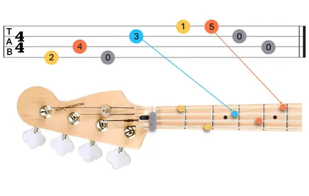 How to Learn to Play the Bass