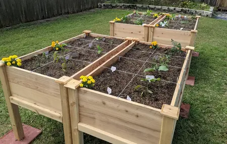 How to build a raised garden bed