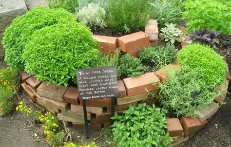 How to Grow a Herb Garden