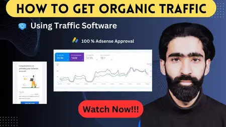 How to Use Organic Traffic to Grow Your Business