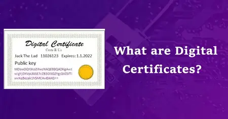 How to Use a Digital Certificate