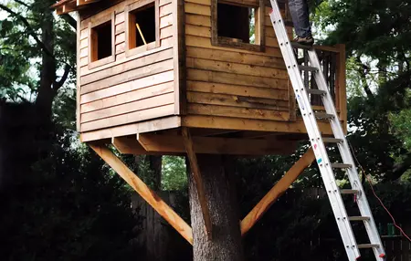 How to Build a Treehouse