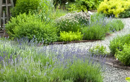 How to Make a Herb Garden