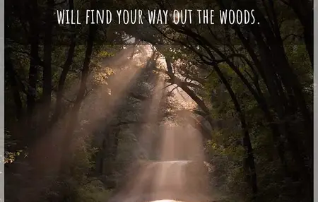 How to Find Your Way in the Wilderness