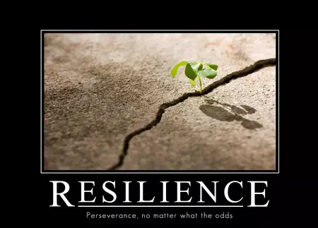 How to Learn to Be More Resilient