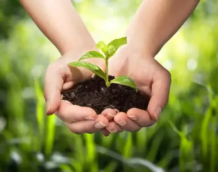 How to Reduce Your Environmental Impact