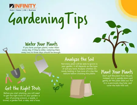 How to Learn to Garden