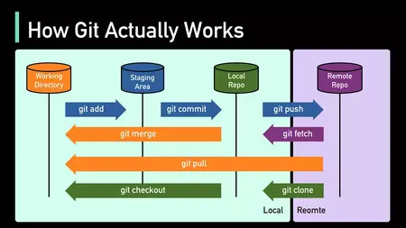 How to Use Git and GitHub