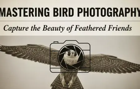 How to Photograph Birds