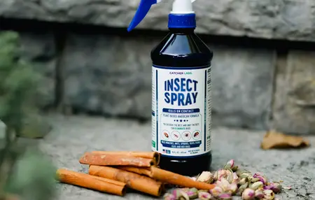 How to Make Natural Bug Spray