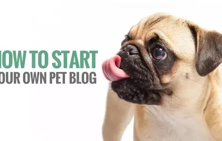 How to Start a Pet Blog