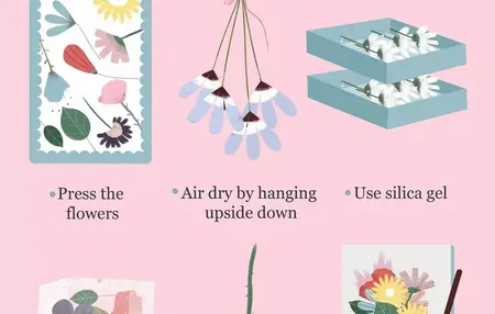 How to Preserve Flowers