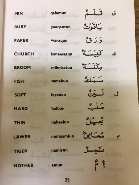 How to Learn to Speak Arabic