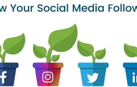 How to Build a Strong and Engaged Social Media Following