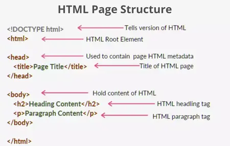 How to Understand Basic HTML