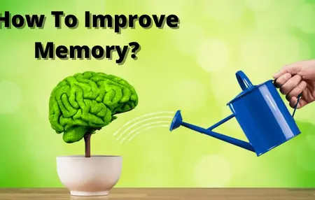 How to Improve Your Memory