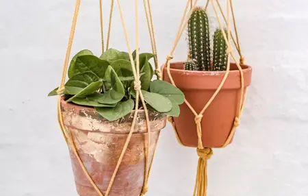 How to Make a DIY Plant Hanger