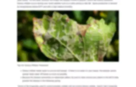 How to Identify and Treat a Plant Disease