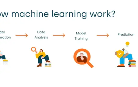 How to Learn Machine Learning