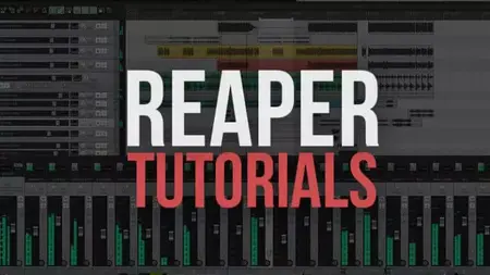 How to Use Reaper
