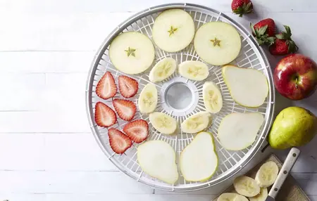 How to Use a Food Dehydrator