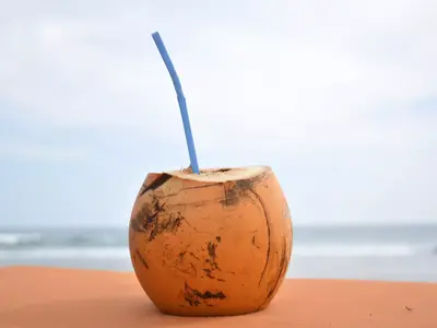 Air Kelapa Manfaat Kesehatan: Bolehkah Minum Setiap Hari? - Panduan Lengkap