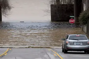 Ganti Oli Segera! Mobil Terendam Banjir? - Solusi & Tips