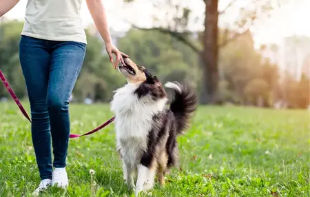 How to Manage Your Time Effectively During the Holidays