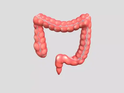 Nyeri Perut Malam Hari: Waspada Tanda Awal Kanker Usus Besar?