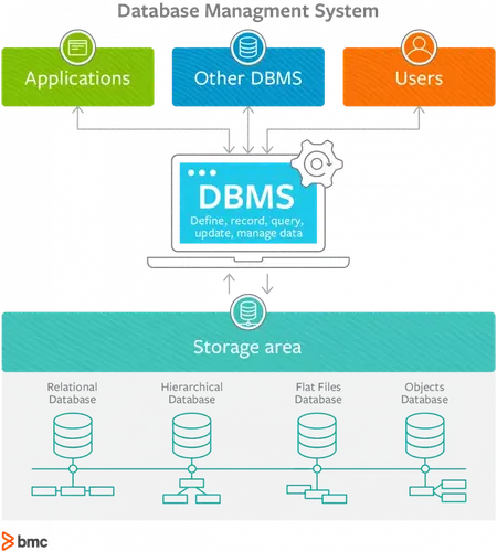 How to Use a Database