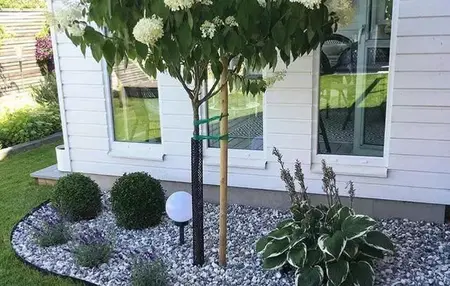 How to Winterize Your Garden