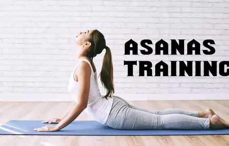 How to Learn Asana for Project Management