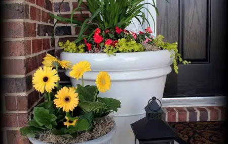 How to Make a DIY Planter