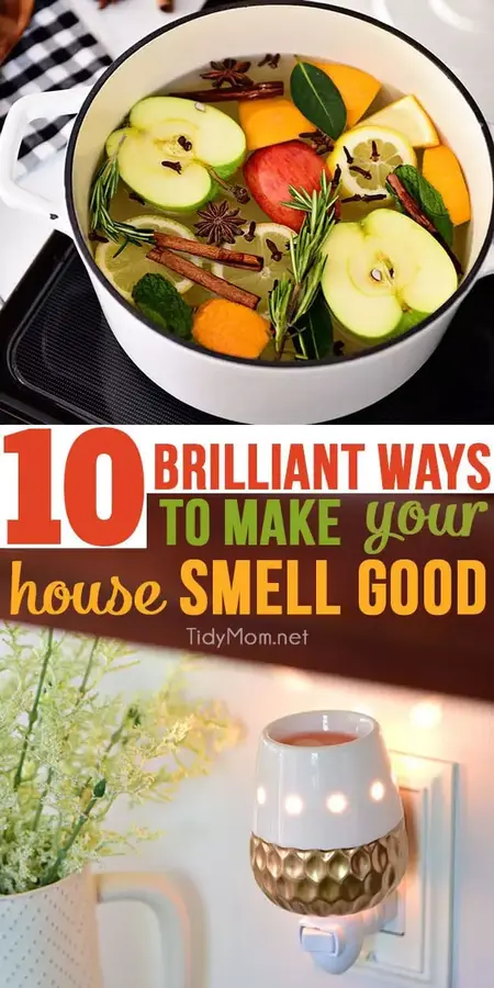 How to Make your house smell nice