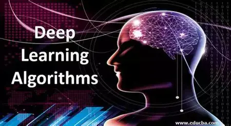 How to Use a Deep Learning Algorithm